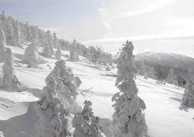 ���b�c�R�̎��X/03